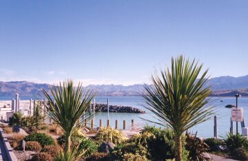 Port w Kaikoura - Wybrzee Wschodnie. Popularne miejsce nurkowa.