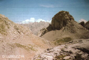 Picos de Europa