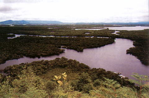 View from Tekanang hill