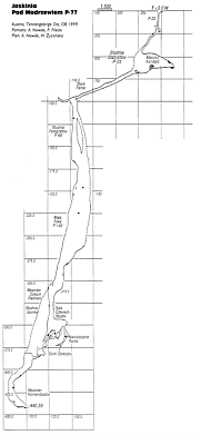 jaskinia Pod Modrzewiem section