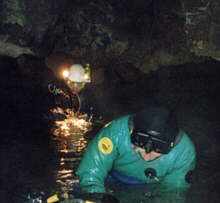 Divers in Cotelul Dobrostilor photo: W. Bolek