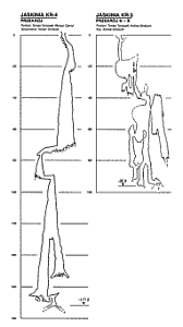 Section of new caves in Kanin