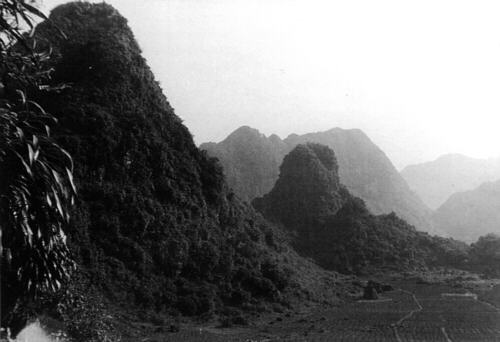 Tower karst in Vietnam