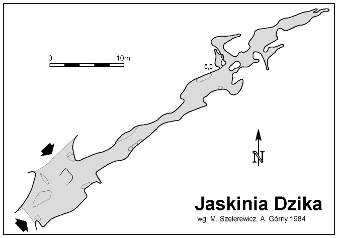 Plan Jaskini Dzikiej