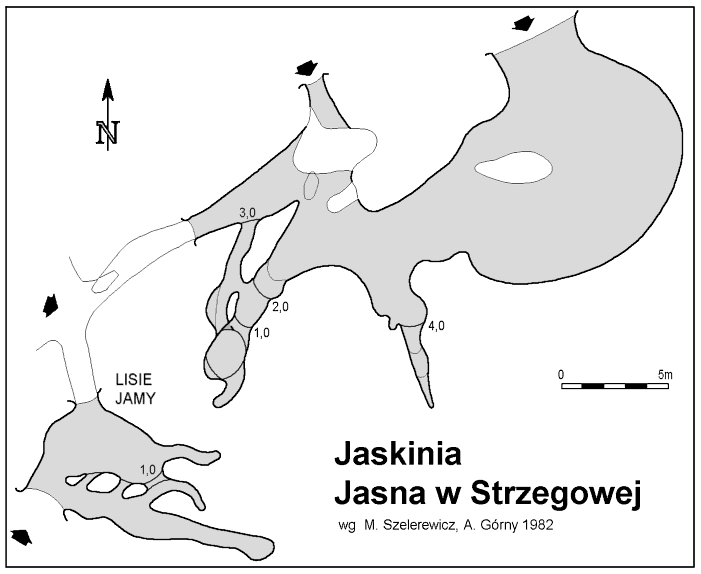 Plan Jaskini Jasnej W Strzegowej