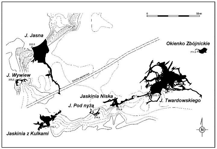 Rozmieszczenie jaski w Skakach Twardowskiego
