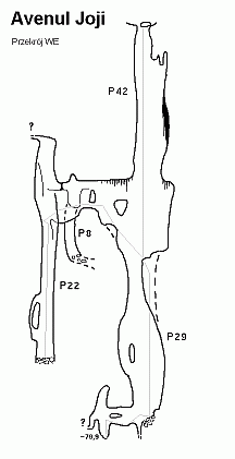 Plan Avenul Joji