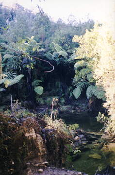 Dolina rzeki Nile, droga do Metro Cave.